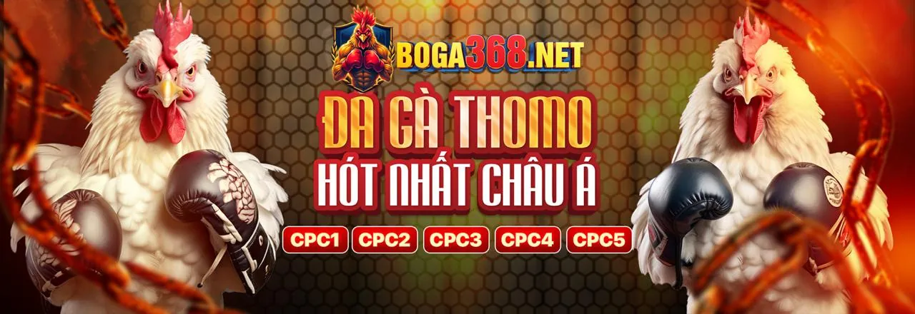 Hướng dẫn đặt cược đá gà đơn giản tại Full88 Game